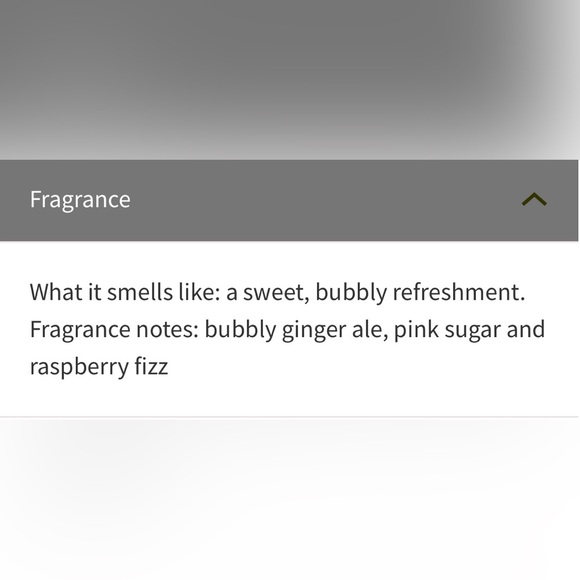 Bath & Body Works Pink Sparkling Spritz & Snowy Peach Berry Hand Sanitizer Gel - Picture 5 of 6